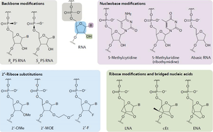 Therapeutic_oligonucleotides